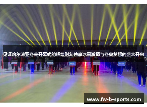 见证哈尔滨亚冬会开幕式的辉煌时刻共享冰雪激情与冬奥梦想的盛大开启