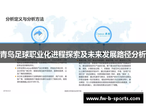 青岛足球职业化进程探索及未来发展路径分析 青岛足球职业化进程探索及未来发展路径分析