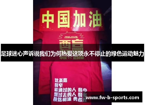 足球迷心声诉说我们为何热爱这项永不停止的绿色运动魅力